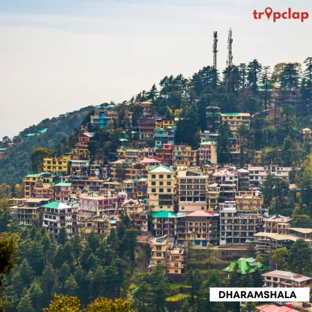 3.11 Dharamshala