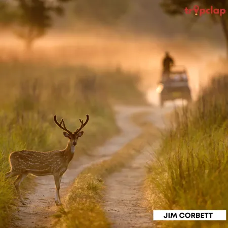 3.13 Jim Corbett
