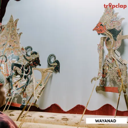 4.9 Wayanad