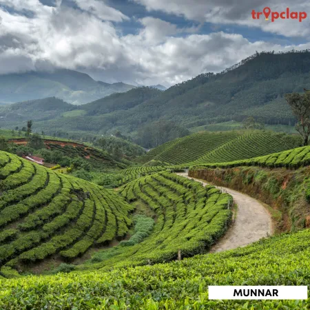 4.12 Munnar