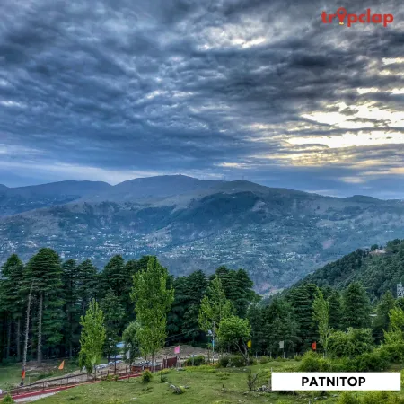 1.4 Patnitop