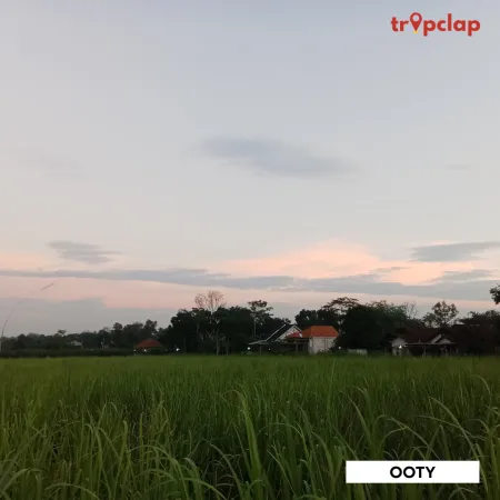 2.9 Ooty