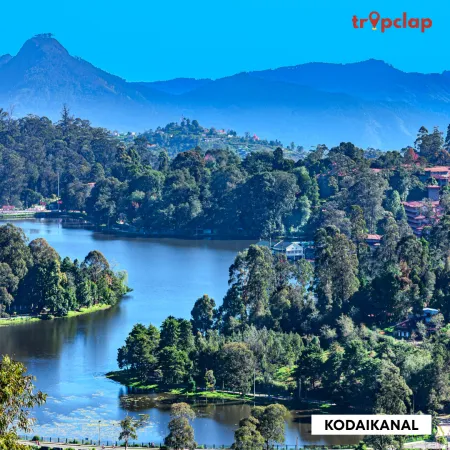 2.11 Kodaikanal