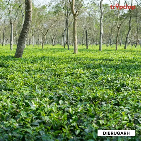 3.3 Dibrugarh