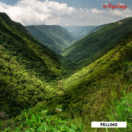 3.8 Pelling