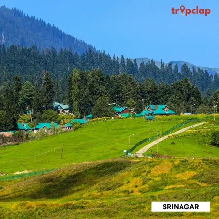 1.1. Srinagar