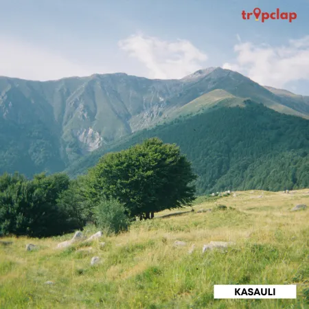 1.4. Kasauli