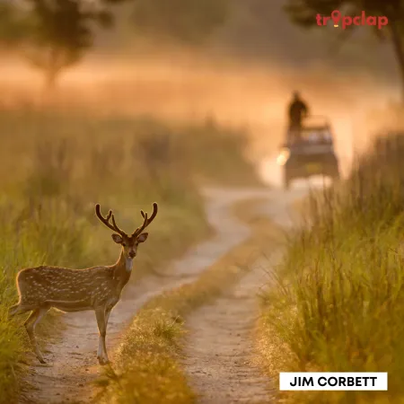 1.8. Jim Corbett