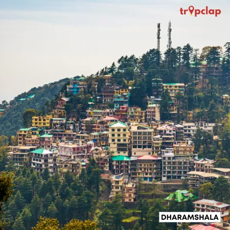 1.9. Dharamshala