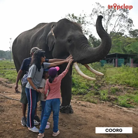 2.3. Coorg