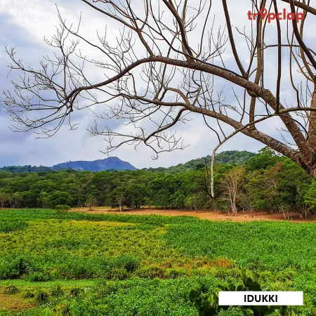 2.5. Idukki