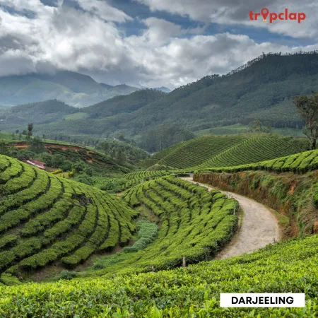 3.4. Darjeeling