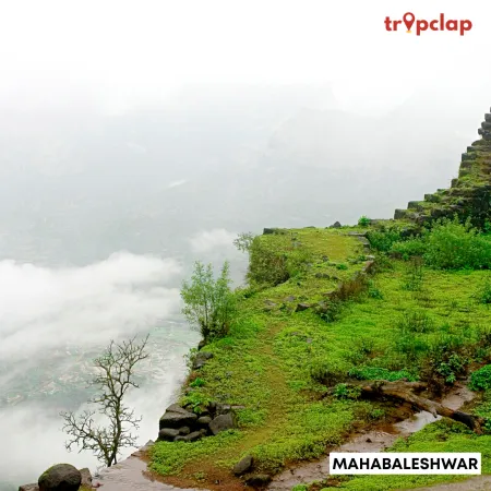 4.4. Mahabaleshwar