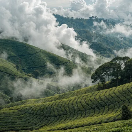 Day 2: Munnar - The Rolling Hills and Tea Plantations