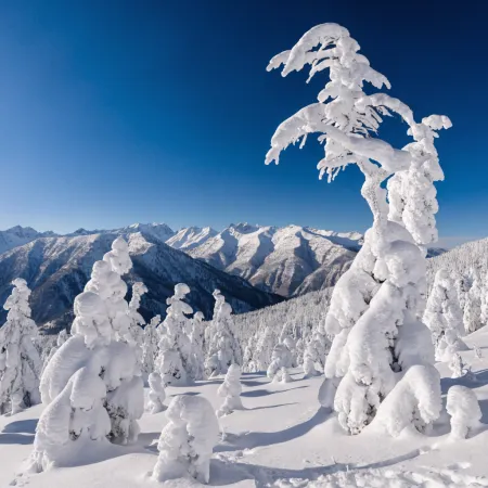 Best Time to Visit: Embrace the Seasons