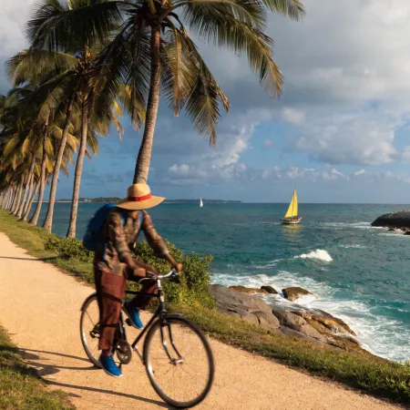 Exploring by Bike