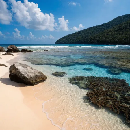Best Beaches on Neil Island