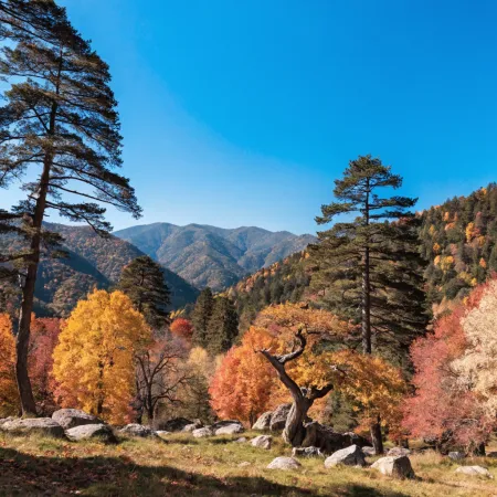 Best Time to Visit Uttarakhand