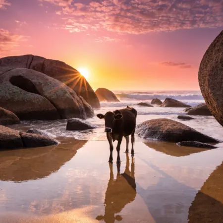 Kudle Beach: The Sunrise Stealer