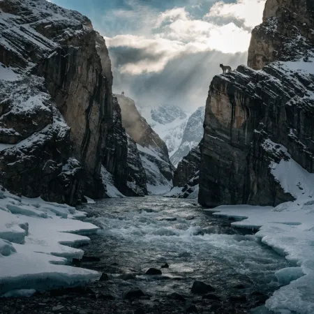 Pin Valley National Park: Wild Hope