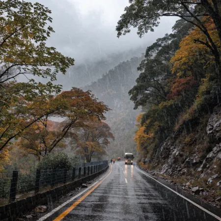 Embrace the Journey: Getting to Tirthan Valley