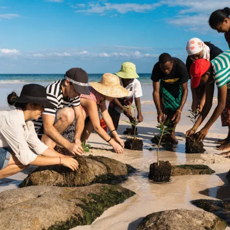 Eco Tours: Sustainability on Majuli Island