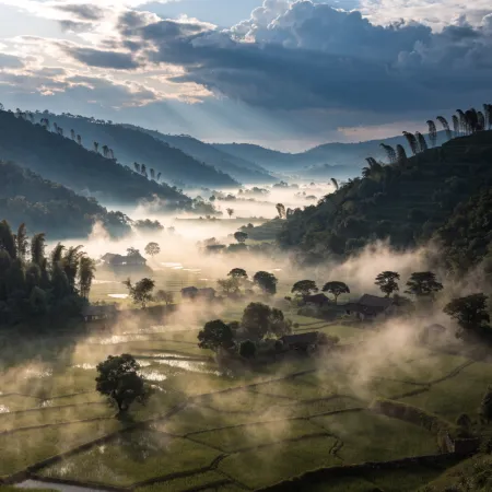 Ziro Valley's Hidden Photography Spots: Capturing the Serenity