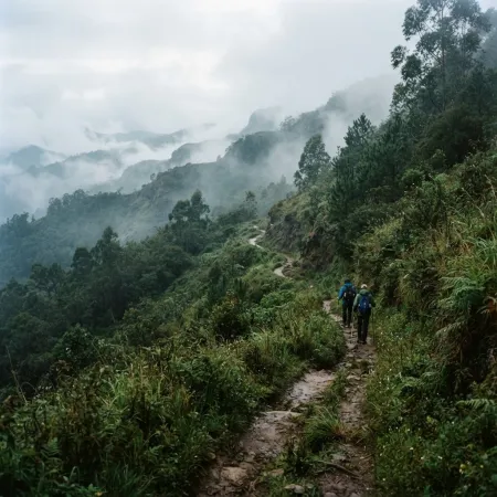 Exploring Nature: Hiking Trails