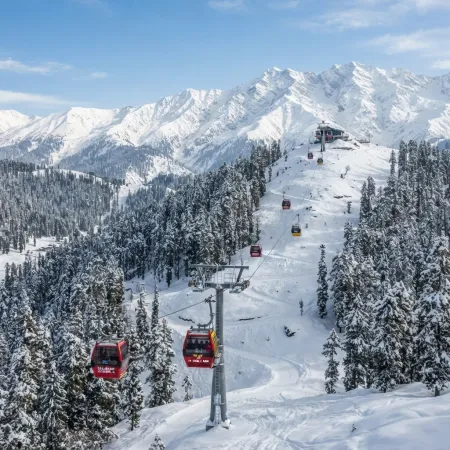 Gulmarg Gondola: A View From the Top