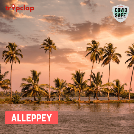 4.8 Alleppey