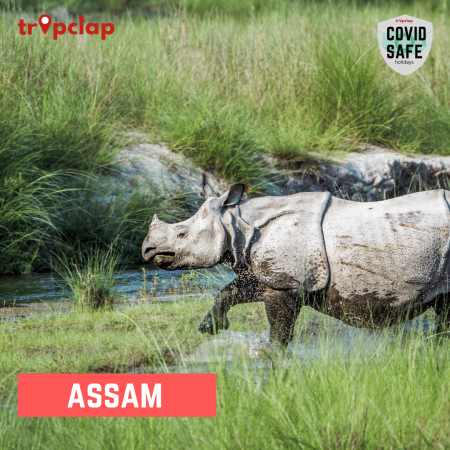 3.2 Assam