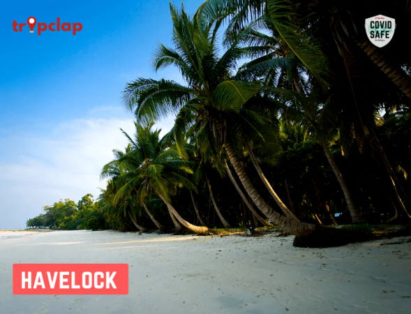 2.3 Havelock Island