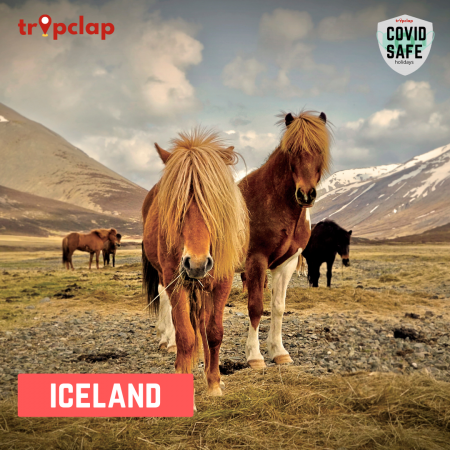 3. Iceland