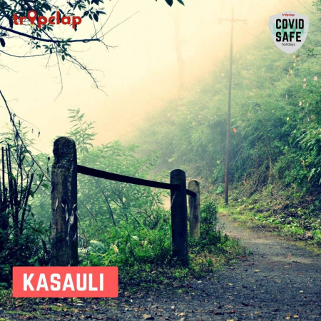 1.2 Kasauli