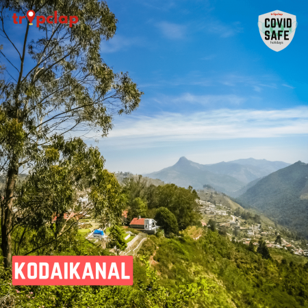 1.8. Kodaikanal