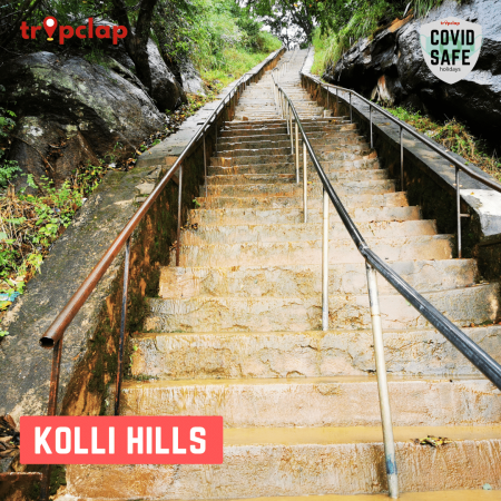 2.3. Kolli Hills