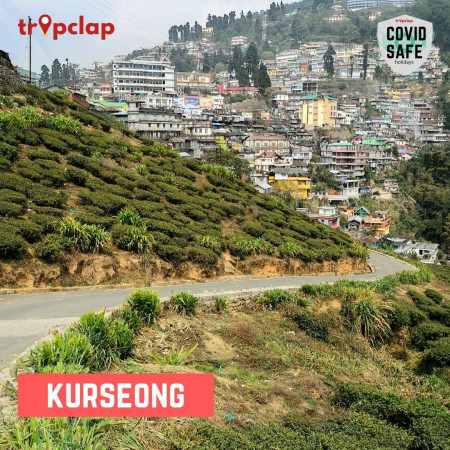 3.6. Kurseong