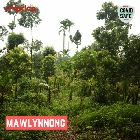 3.9. Mawlynnong