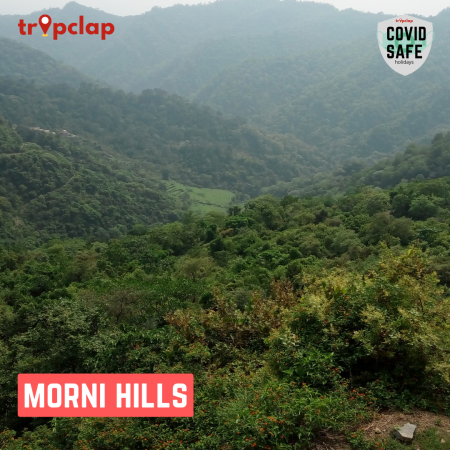 8. Bonus - Morni Hills