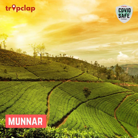 2.2. Munnar