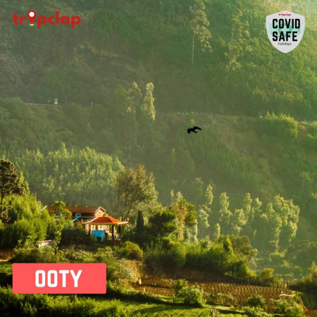 2.10. Ooty