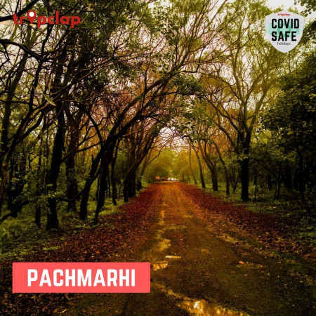 4.2. Pachmarhi