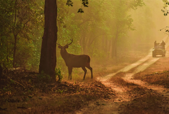 2. Kanha National Park