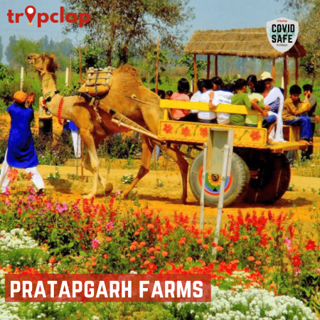 6. PratapGarh Farms
