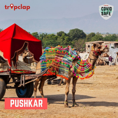 12. Pushkar 