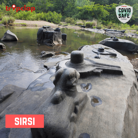 1.12.Sirsi
