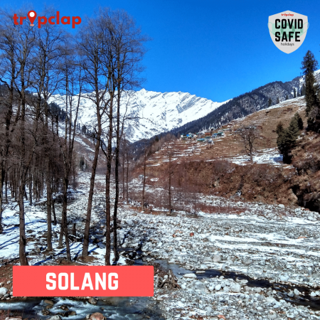 3.7. Valley of flowers