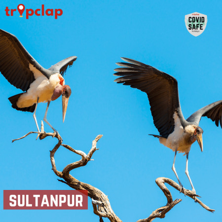 4. Sultanpur National Park