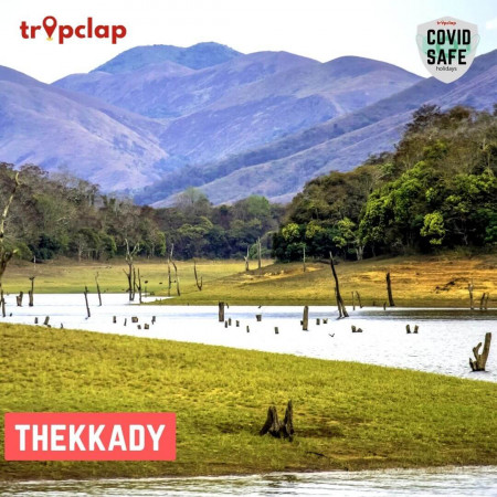 4.9 Thekkady