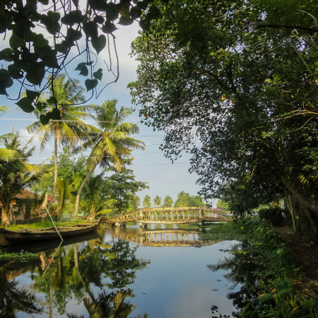 Alleppey